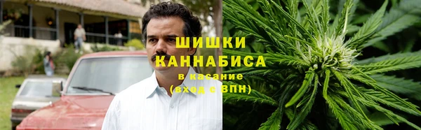 PSILOCYBIN Губаха