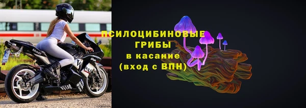 PSILOCYBIN Губаха