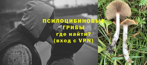 PSILOCYBIN Губаха