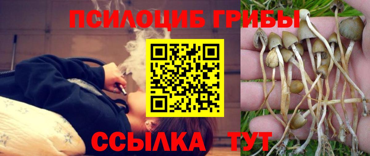 Лабытнанги  Псилоцибиновые грибы MAGIC MUSHROOMS  как найти закладки  Вход с VPN 